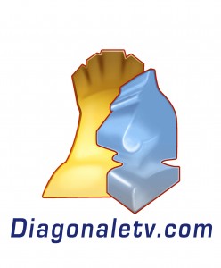 logo diagonaleTV